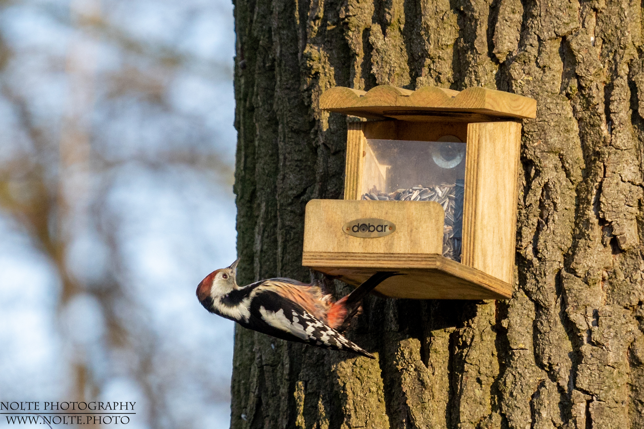 Anschleichen von unten